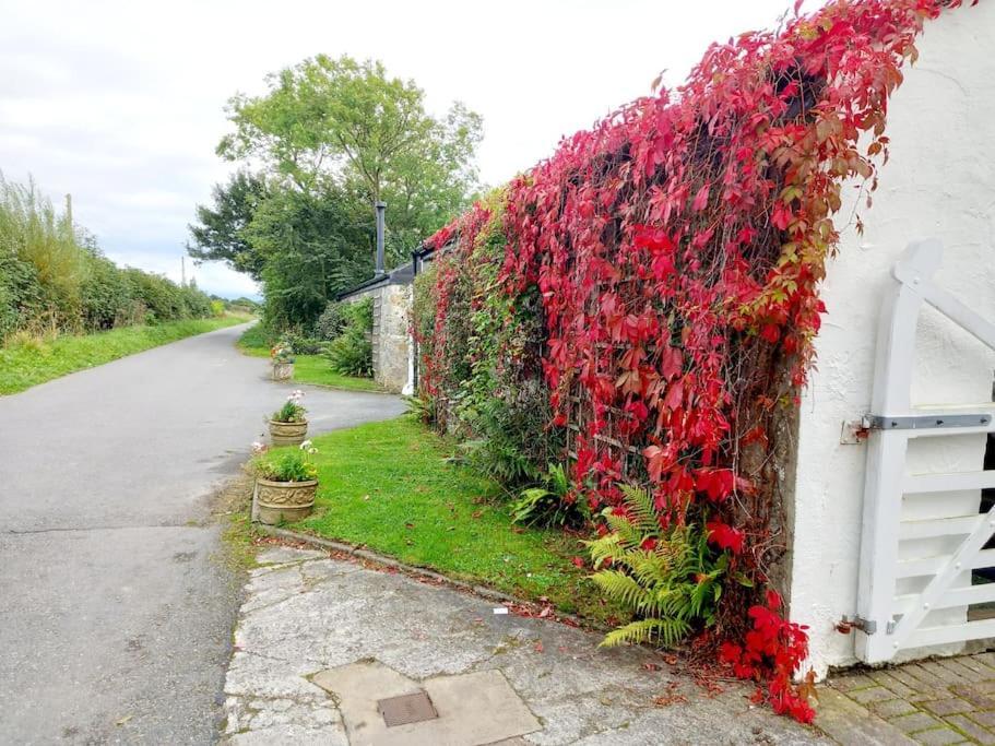 Rhos Y Bel Cottage Angelsey Llangadwaladr  Dış mekan fotoğraf